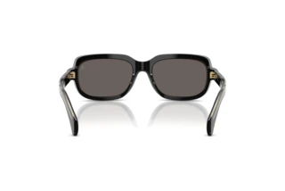Rear view Moncler SUNTRAP (ME6008 - 300187)