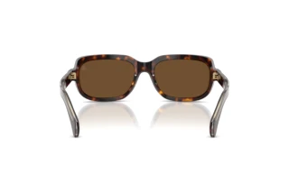 Rear view Moncler SUNTRAP (ME6008 - 300273)