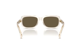 Rear view Moncler SUNTRAP (ME6008 - 30035A)