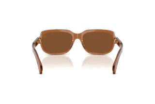 Rear view Moncler SUNTRAP (ME6008 - 3017/3)