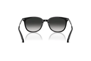 Rear view Moncler KORRA (ME6013 - 30013C)
