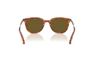 Rear view Moncler KORRA (ME6013 - 300475)