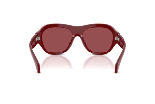 Rear view Moncler ELEVANE (ME6015U - 302654)