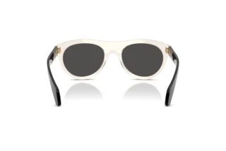 Rear view Moncler SPLASH (ME6022U - 300387)