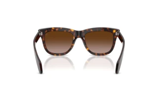 Rear view Moncler BRONZZ (ME6023 - 300213)