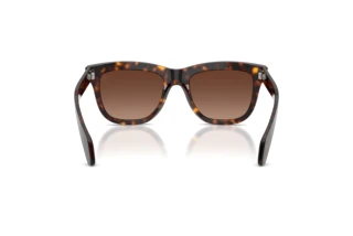 Rear view Moncler BRONZZ (ME6023 - 3002T5)
