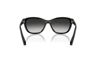 Rear view Moncler ME6031U (30013C)