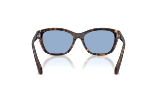 Rear view Moncler ME6031U (300280)