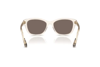 Rear view Moncler ME6031U (30032C)