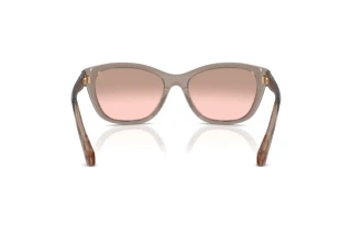 Rear view Moncler ME6031U (30097E)