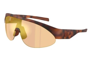 Front view Moncler MYRR (ME8019U - 50267J)