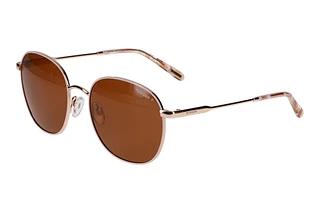 Morgan 207380 5500 Beige