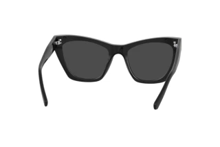 Rear view Moschino MOL070/S (807/IR)