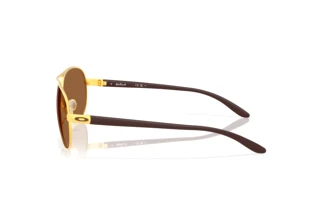 Side view Oakley FEEDBACK (OO4079 - 407951)
