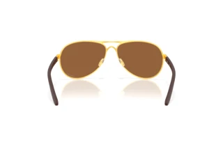 Rear view Oakley FEEDBACK (OO4079 - 407951)