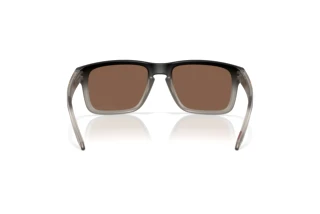 Rear view Oakley HOLBROOK (OO9102 - 9102AH)