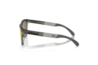Side view Oakley FROGSKINS RANGE (OO9284 - 928401)