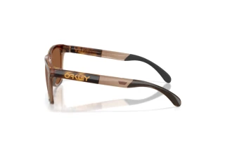 Side view Oakley FROGSKINS RANGE XL (OO9503 - 950302)