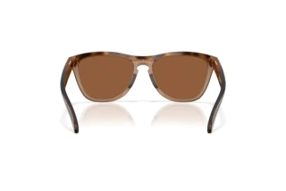 Rear view Oakley FROGSKINS RANGE XL (OO9503 - 950302)