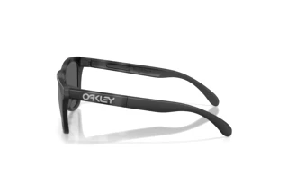 Side view Oakley FROGSKINS RANGE XL (OO9503 - 950308)