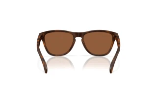 Rear view Oakley FROGSKINS S (OO9508 - 950803)