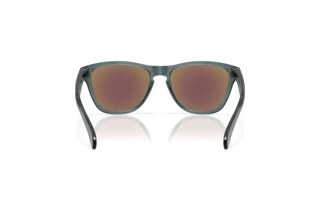 Rear view Oakley FROGSKINS S (OO9508 - 950805)