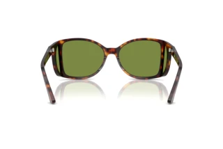 Rear view Persol PO0005 (24/4E)