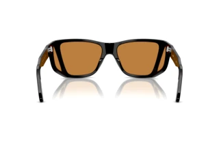 Rear view Persol PO0009 (95/53)