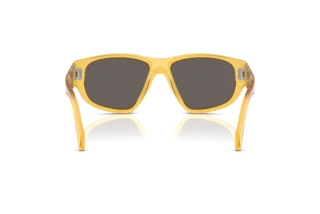 Rear view Persol PO0050S (204/B1)