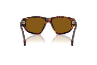Rear view Persol PO0050S (24/33)