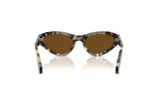 Rear view Persol PO0052S (107157)