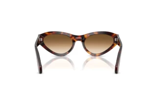 Rear view Persol PO0052S (24/51)