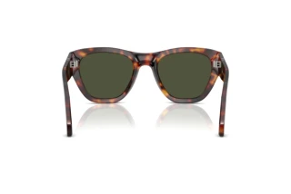 Rear view Persol PO0054S (24/31)