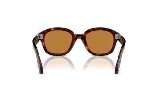Rear view Persol PO0060S (24/53)
