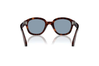 Rear view Persol PO0060S (24/56)