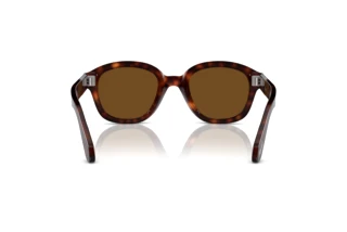 Rear view Persol PO0060S (24/57)