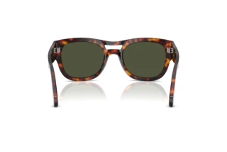 Rear view Persol PO0064S (24/31)