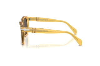 Side view Persol PO0082S (204/B1)