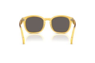 Rear view Persol PO0082S (204/B1)