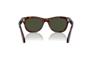 Rear view Persol PO0086S (24/31)