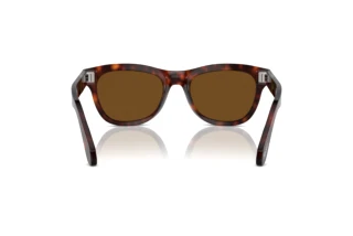 Rear view Persol PO0086S (24/57)
