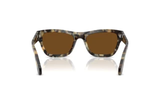 Rear view Persol PO0091S (107157)