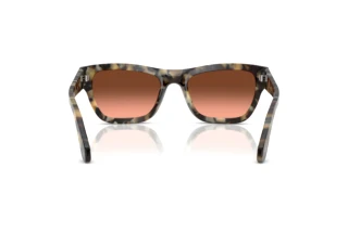Rear view Persol PO0091S (1071A5)