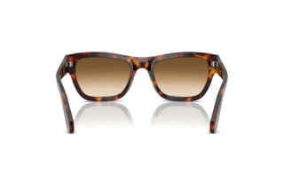 Rear view Persol PO0091S (24/51)