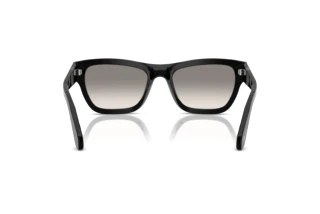 Rear view Persol PO0091S (95/32)