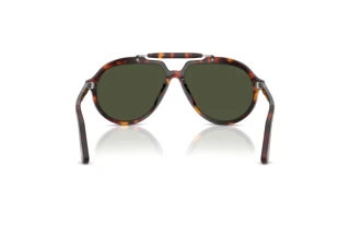 Rear view Persol PO0202S (24/31)