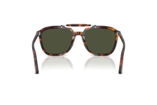 Rear view Persol PO0203S (24/31)