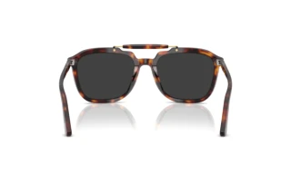 Rear view Persol PO0203S (24/48)