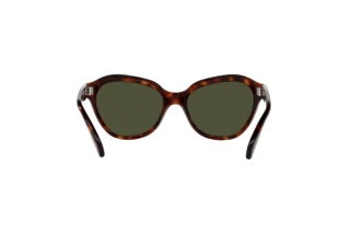 Rear view Persol PO0582S (24/31)