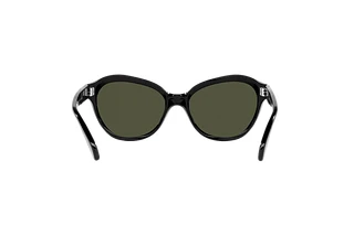Rear view Persol PO0582S (95/31)